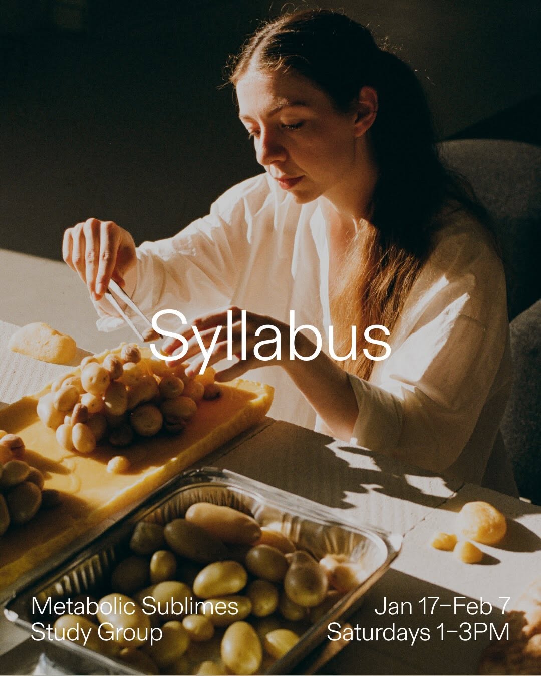 Image for Metabolic Sublimes Study Group