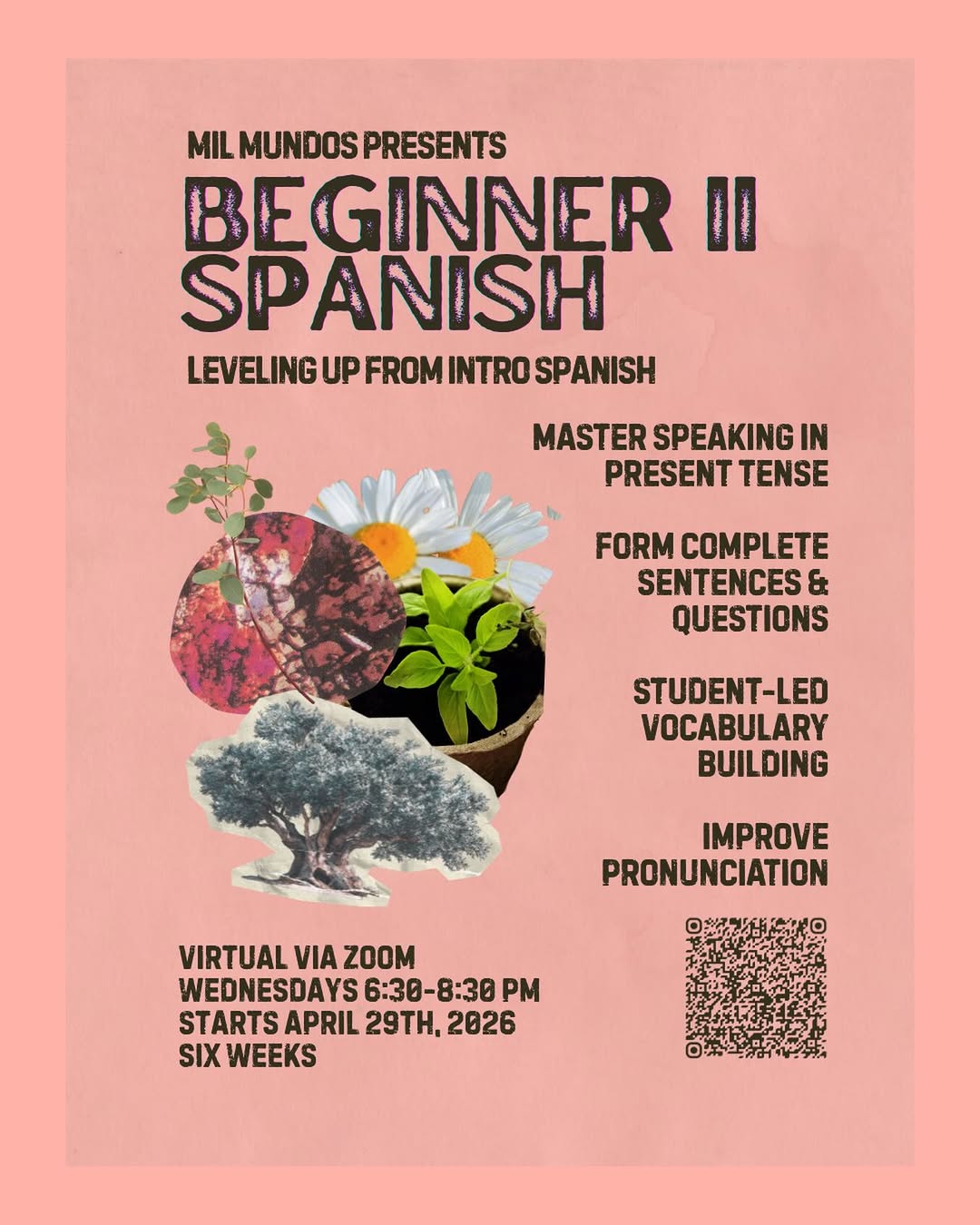 Image for Beginner II Spanish