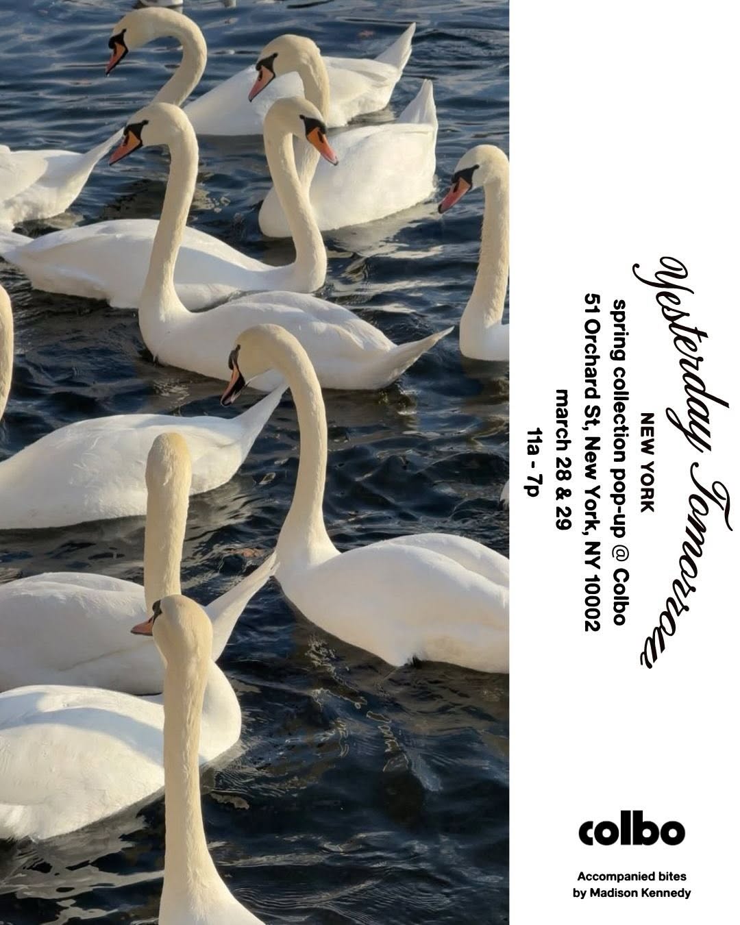 Image for Yesterday Tomorrow spring collection pop-up @ Colbo